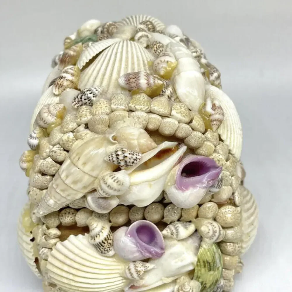 Sea Shell Trinket Box with Diorama Inside Lid Fish Starfish Abalone Sand Vintage